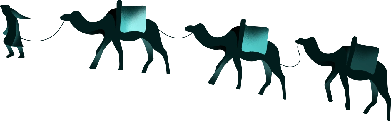 19-camels and man